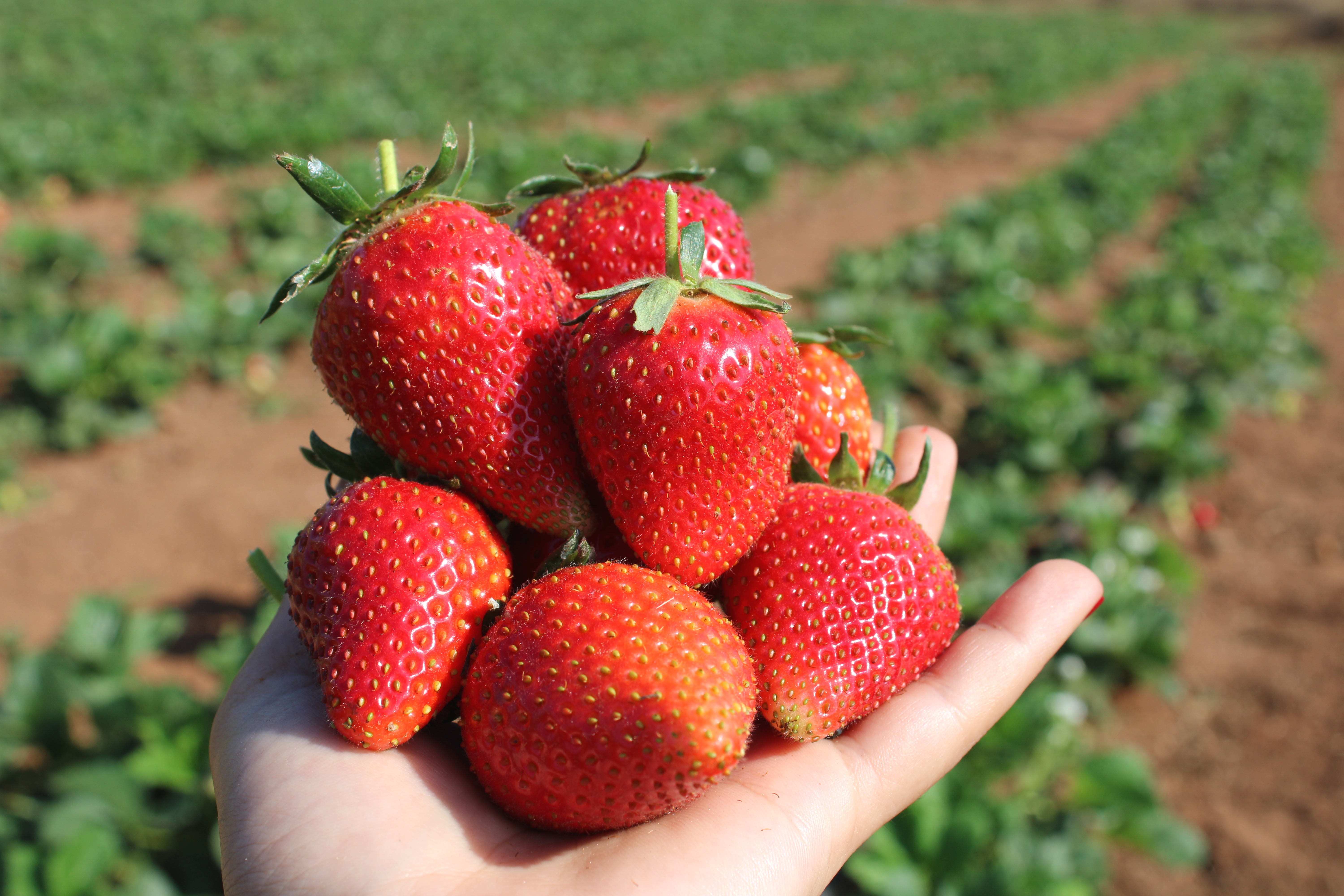 20220924084034_IMG_2242