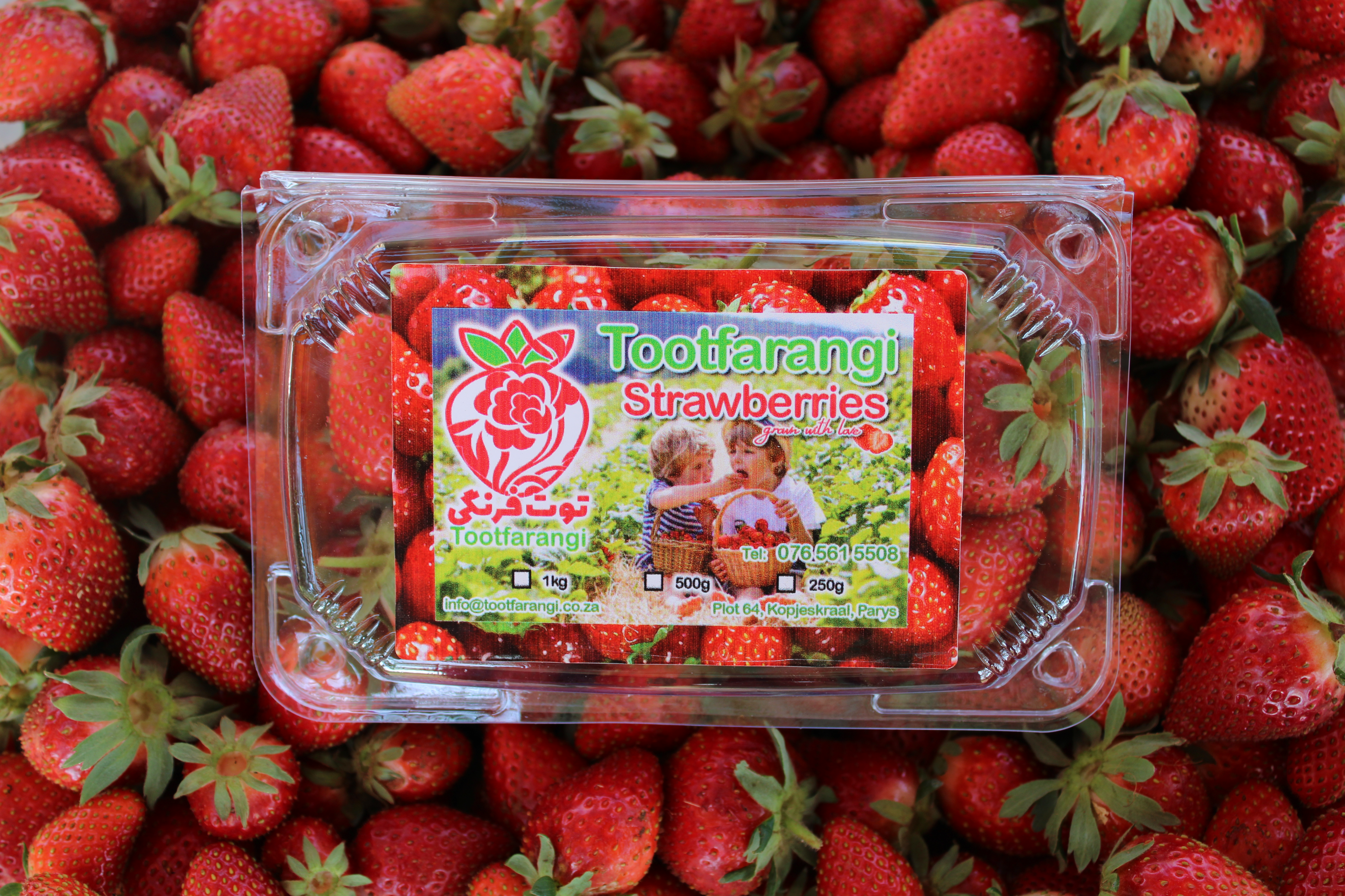 20220924090755_IMG_2254