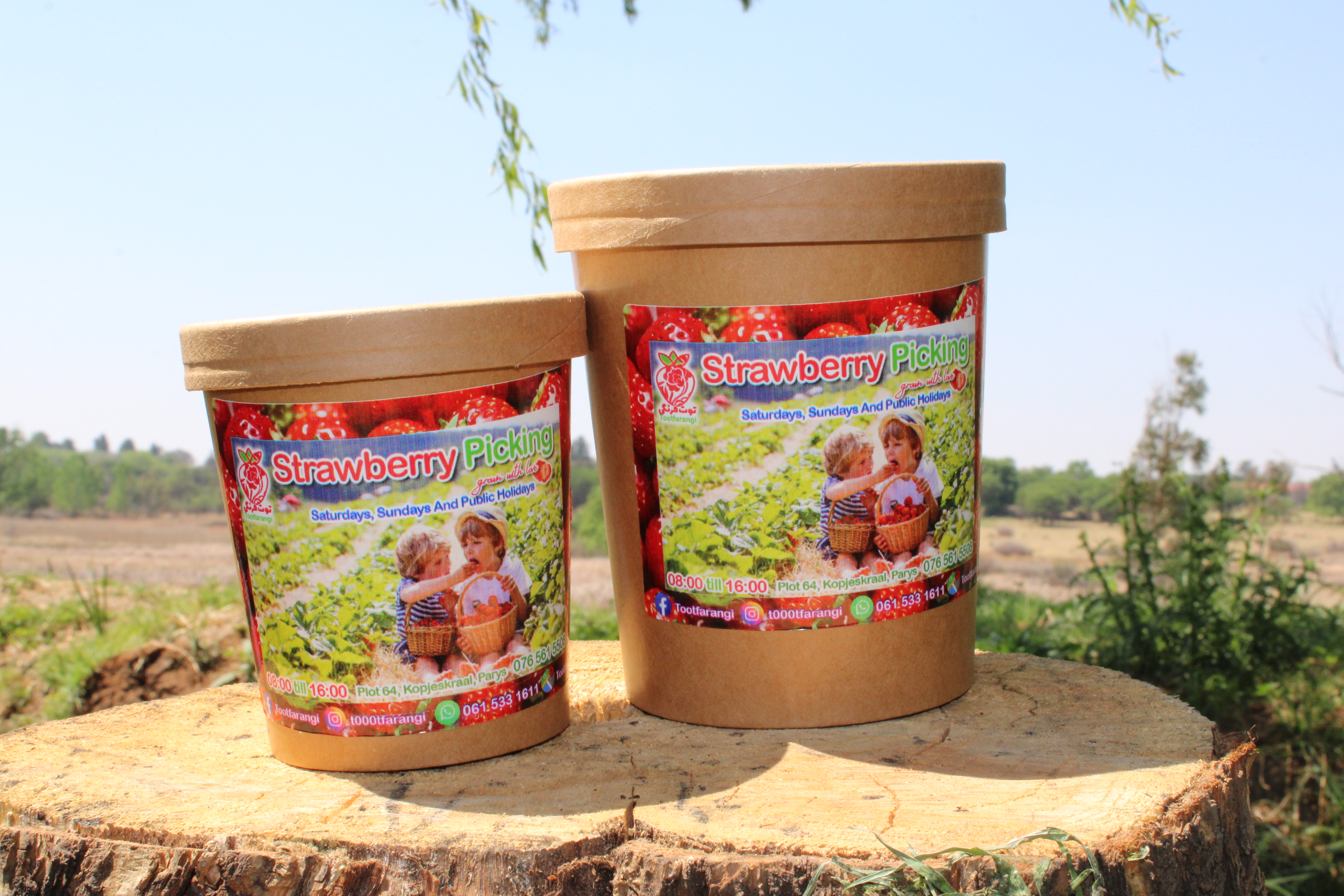 20220924122915_IMG_2288