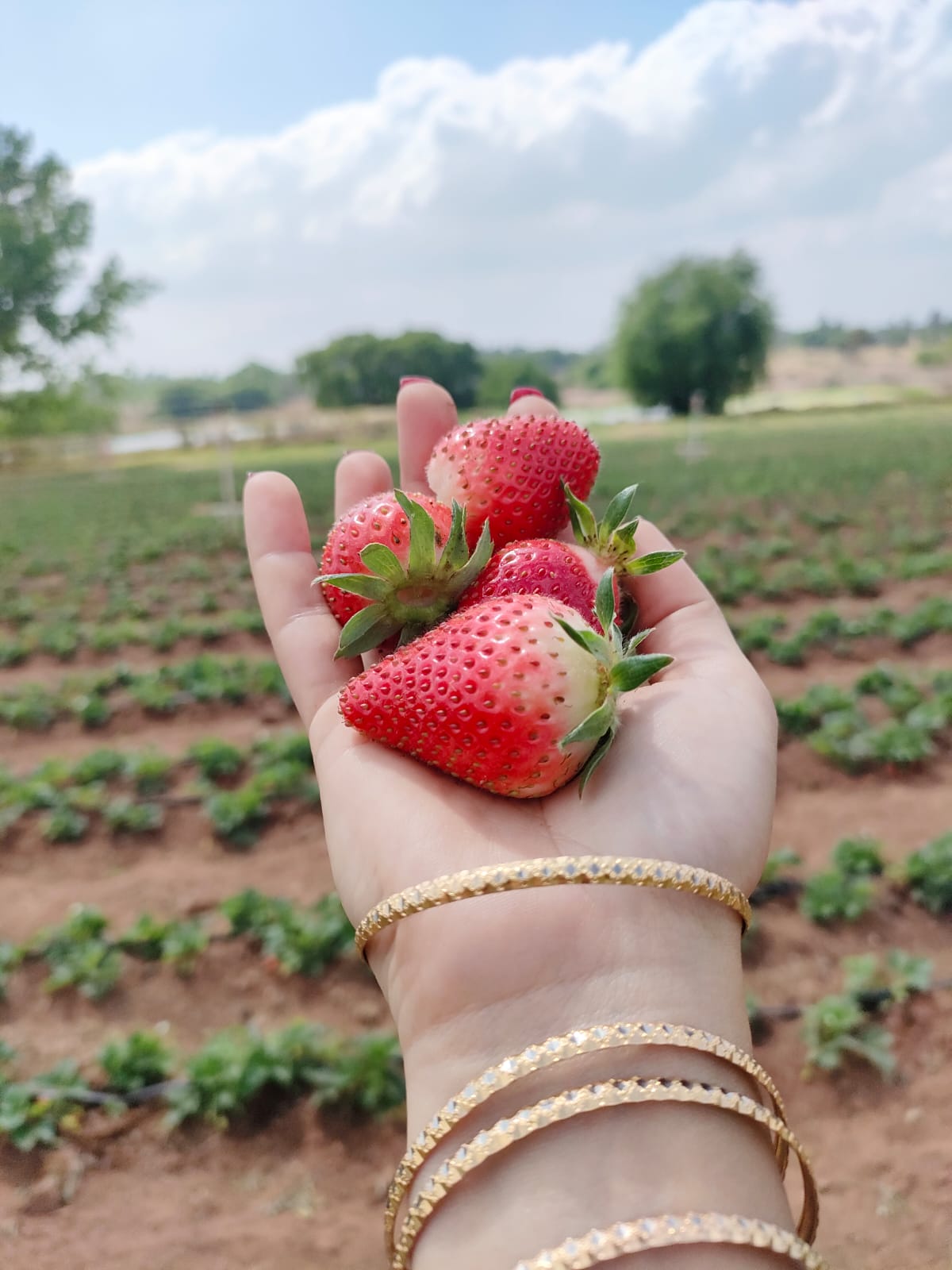 WhatsApp Image 2022-09-22 at 13.31.31