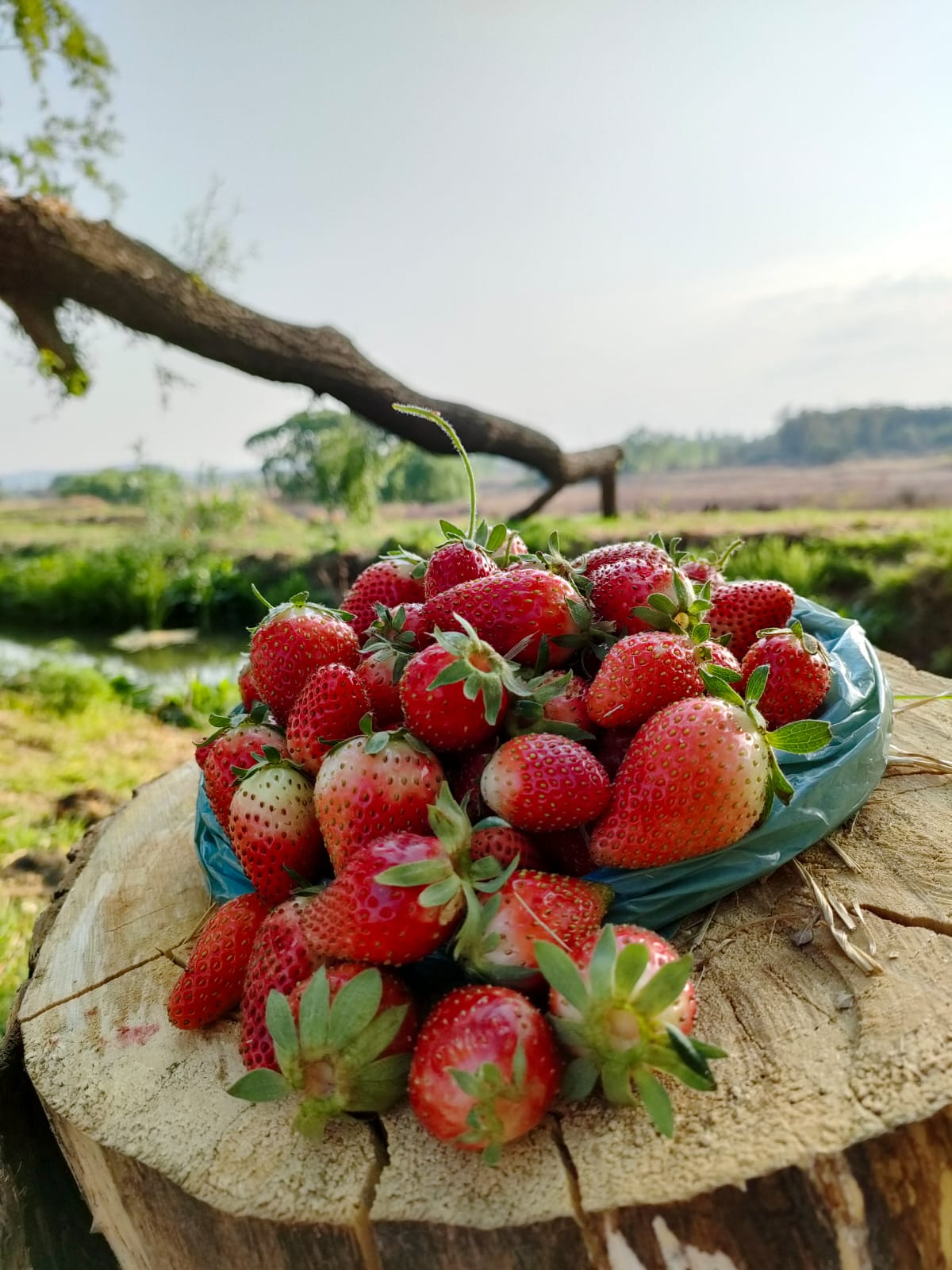 WhatsApp Image 2022-09-22 at 13.31.32