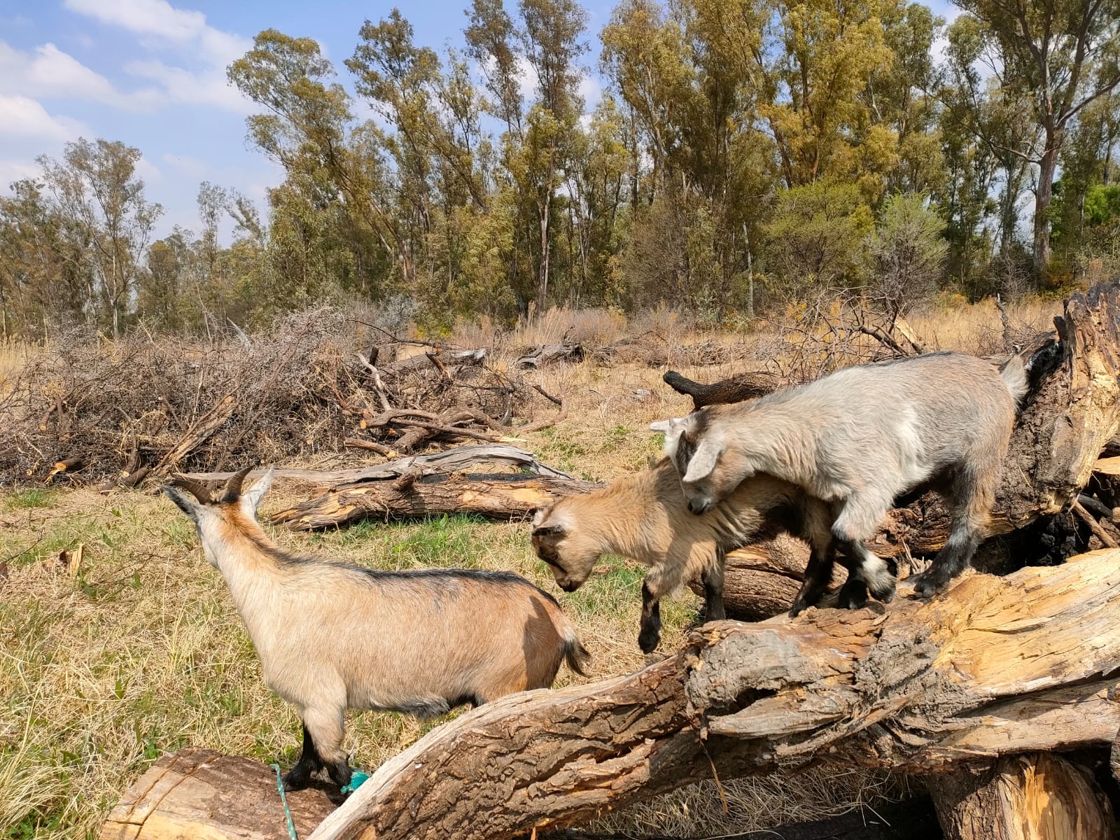 WhatsApp Image 2022-09-22 at 13.31.33